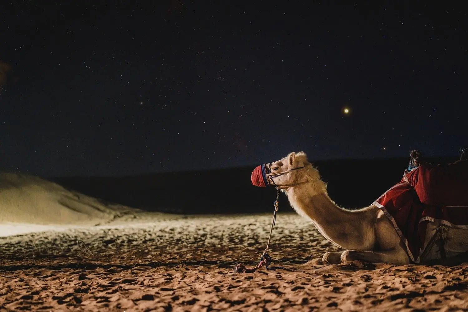 Ultimate Guide to Camel Riding in Marrakech