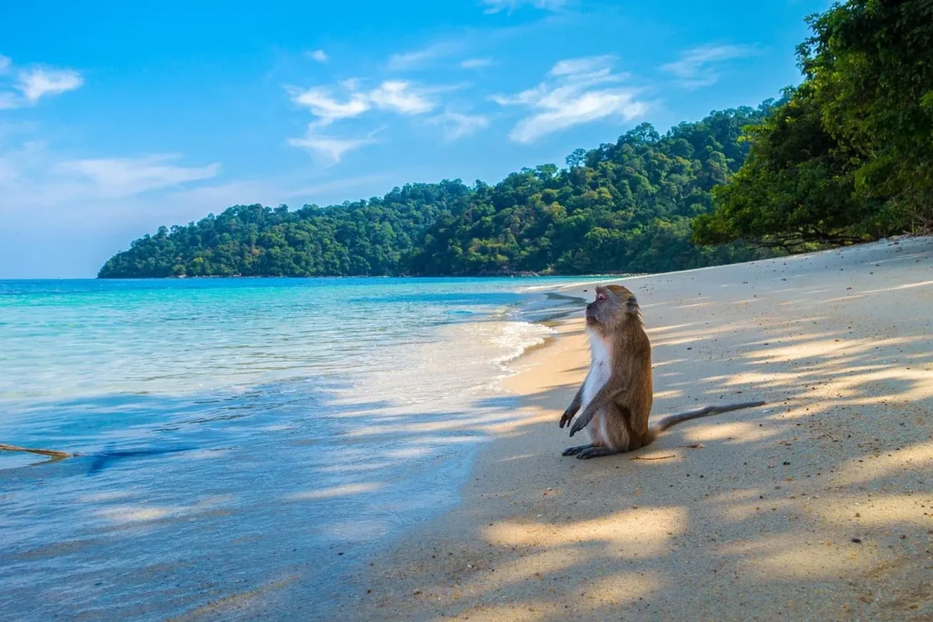 A Complete Travel Guide to Koh Samui, Thailand